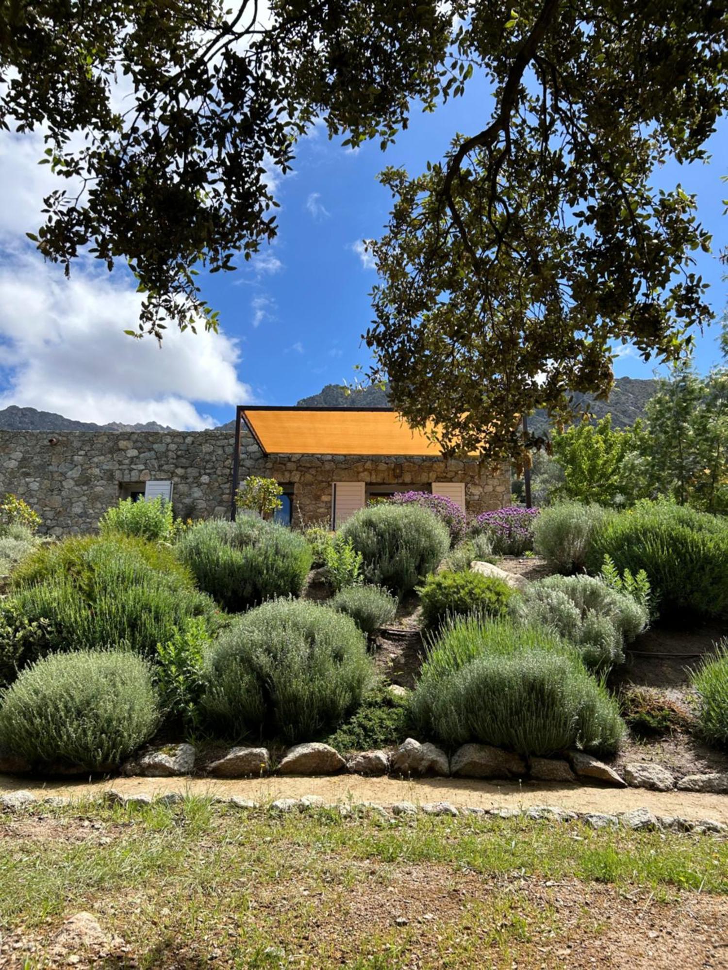 Residence Casarella Lama Exterior foto